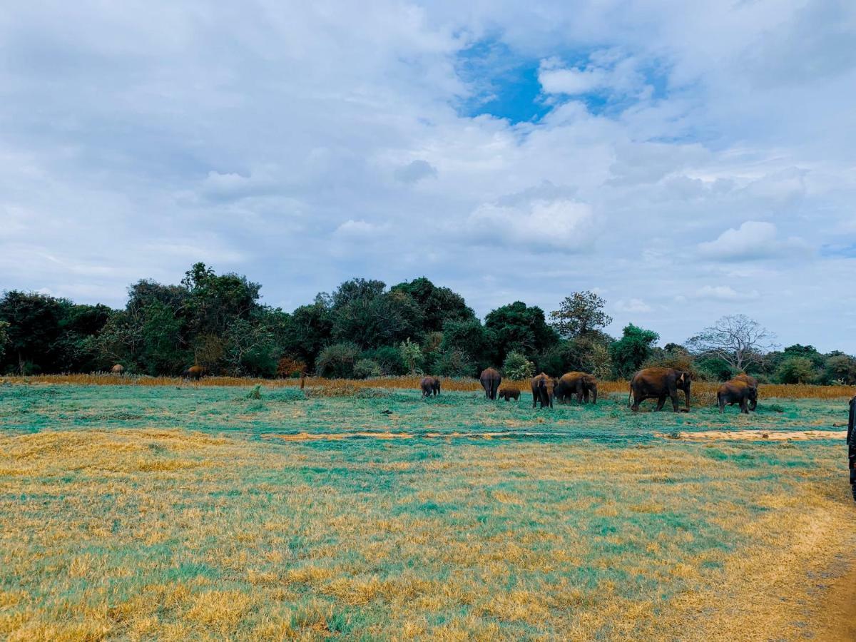 Lal Home Stay Sigiriya Dış mekan fotoğraf