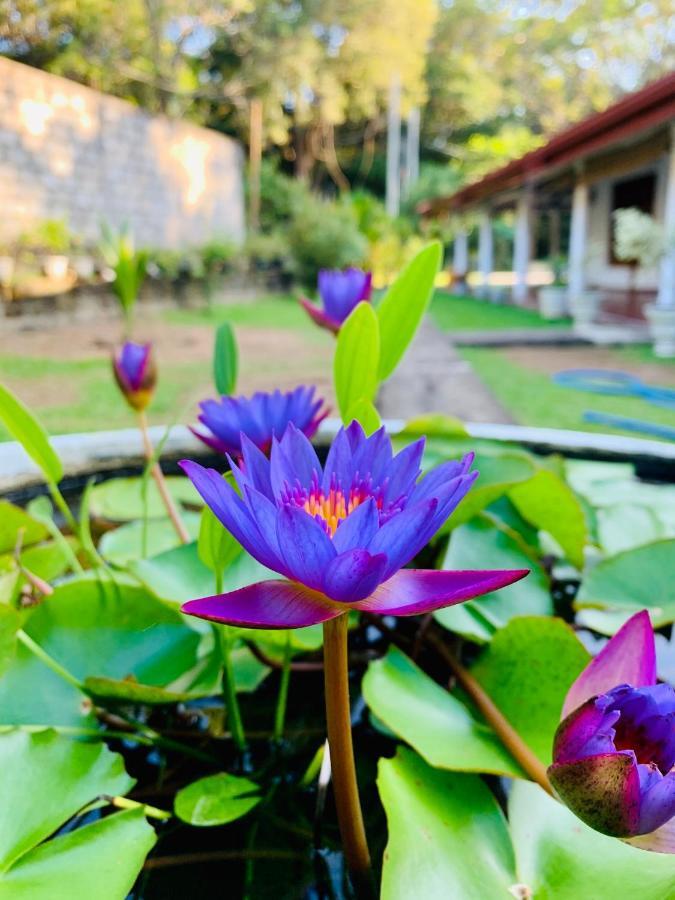 Lal Home Stay Sigiriya Dış mekan fotoğraf